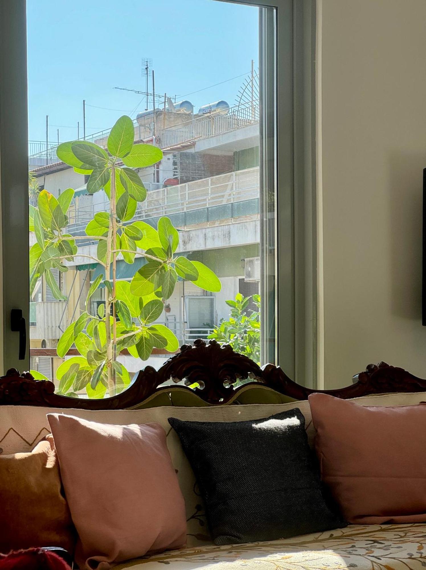 Apartamento Friends & Family Atenas Exterior foto